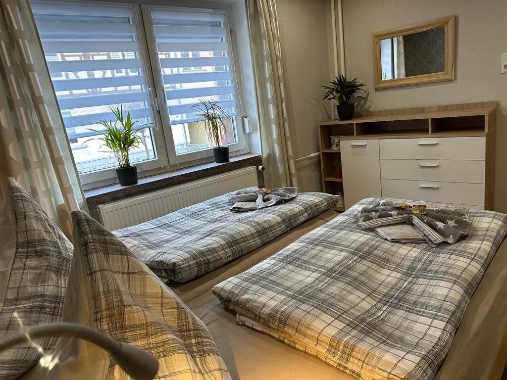 Christels Ferienwohnung 2 In Thale Mit Ueberdachter Terrasse, Kueche Mit Tv & Geschirrspueler 外观 照片