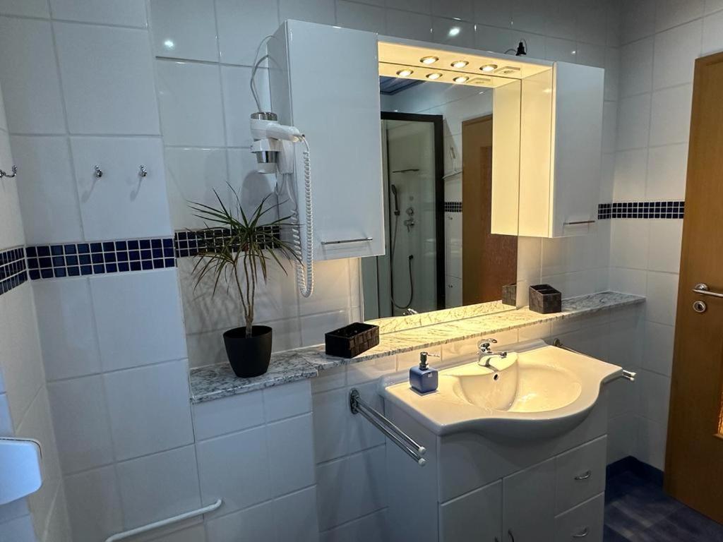 Christels Ferienwohnung 2 In Thale Mit Ueberdachter Terrasse, Kueche Mit Tv & Geschirrspueler 外观 照片